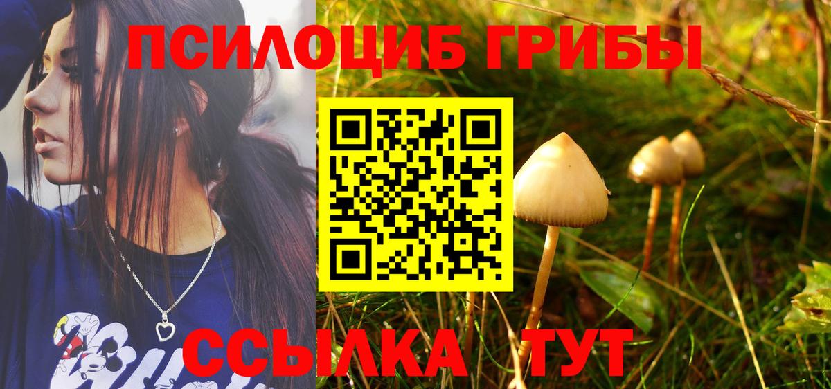 Псилоцибиновые грибы мицелий Зеленокумск