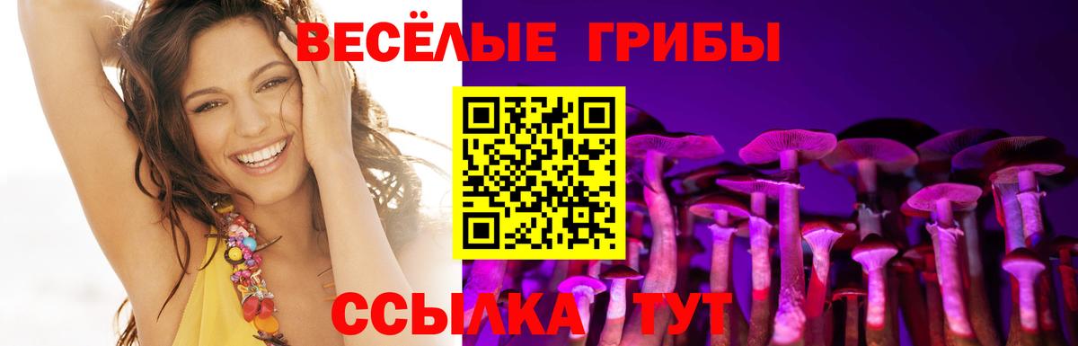 купить  цена  Галлюциногенные грибы Magic Shrooms  Вход с VPN  Зеленокумск 